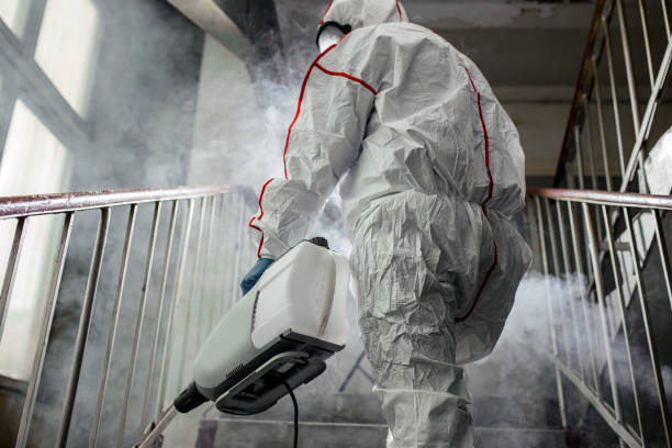 Best Mold Remediation for Healthcare Facilities  in Kimball, NE